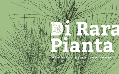 Rara Pianta 2024 – Evento inclusivo: la passione per la natura senza barriere